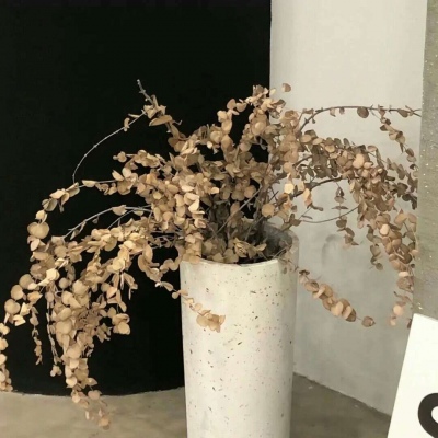 Furry插画故事感营造Furry群